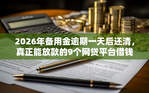 2026年备用金逾期一天后还清，真正能放款的9个网贷平台借钱不查征信推荐