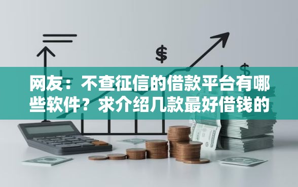 网友：不查征信的借款平台有哪些软件？求介绍几款最好借钱的网贷平台不看数据