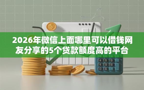 2026年微信上面哪里可以借钱网友分享的5个贷款额度高的平台我觉得不错！