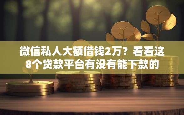 微信私人大额借钱2万？看看这8个贷款平台有没有能下款的