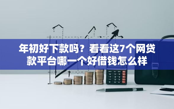 年初好下款吗？看看这7个网贷款平台哪一个好借钱怎么样