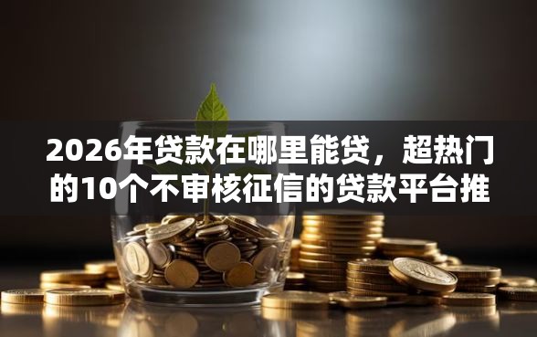 2026年贷款在哪里能贷，超热门的10个不审核征信的贷款平台推荐