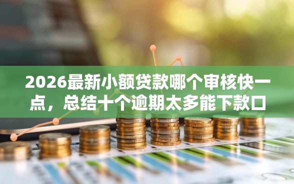 2026最新小额贷款哪个审核快一点，总结十个逾期太多能下款口子！