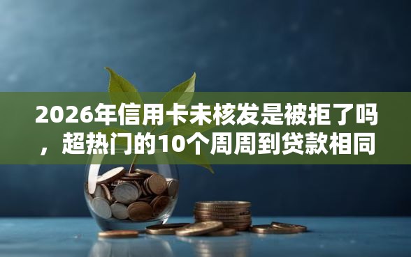 2026年信用卡未核发是被拒了吗，超热门的10个周周到贷款相同系列的口子推荐