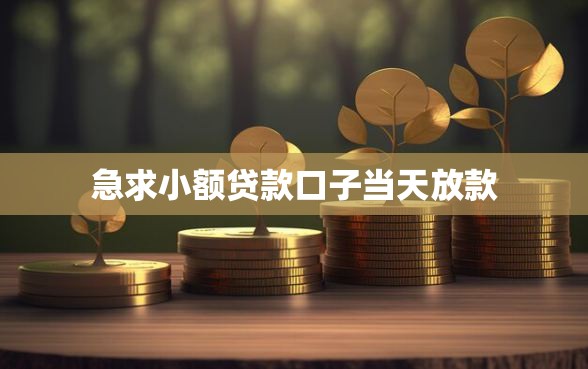 急求小额贷款口子当天放款