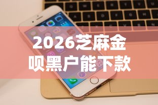 2026芝麻金呗黑户能下款吗，差6千元就选这8个平台