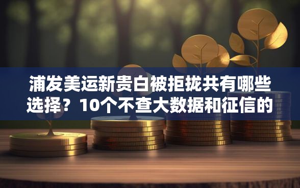 浦发美运新贵白被拒拢共有哪些选择？10个不查大数据和征信的贷款平台详解