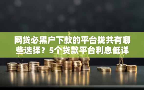 网贷必黑户下款的平台拢共有哪些选择？5个贷款平台利息低详解