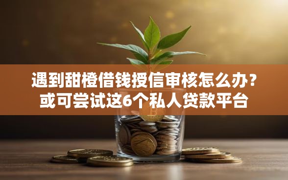 遇到甜橙借钱授信审核怎么办？或可尝试这6个私人贷款平台