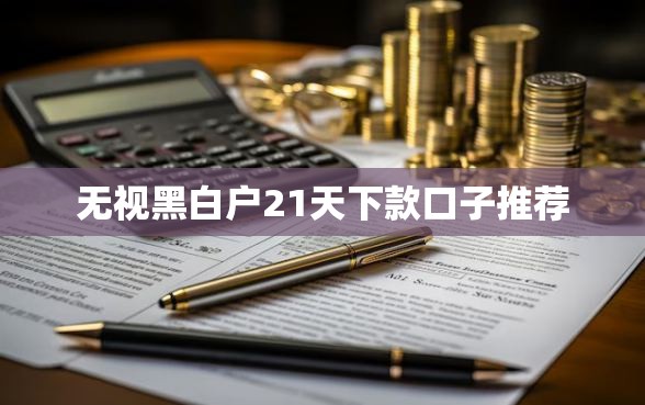 无视黑白户21天下款口子推荐