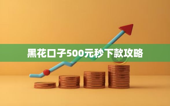 黑花口子500元秒下款攻略