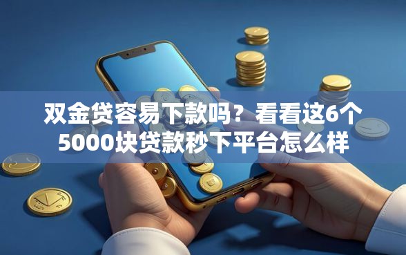 双金贷容易下款吗？看看这6个5000块贷款秒下平台怎么样