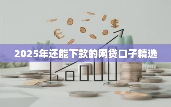 2025年还能下款的网贷口子精选