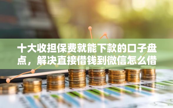 十大收担保费就能下款的口子盘点，解决直接借钱到微信怎么借的的问题
