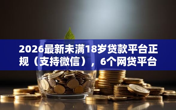 2026最新未满18岁贷款平台正规（支持微信），6个网贷平台门槛低一点的平台无私分享