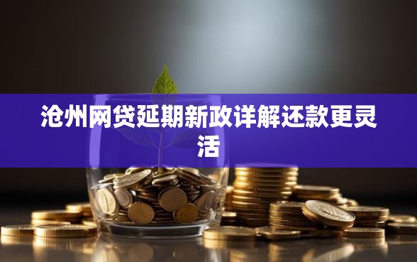 沧州网贷延期新政详解还款更灵活