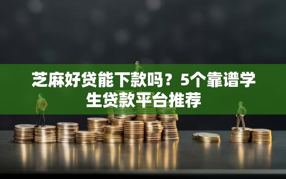 芝麻好贷能下款吗？5个靠谱学生贷款平台推荐