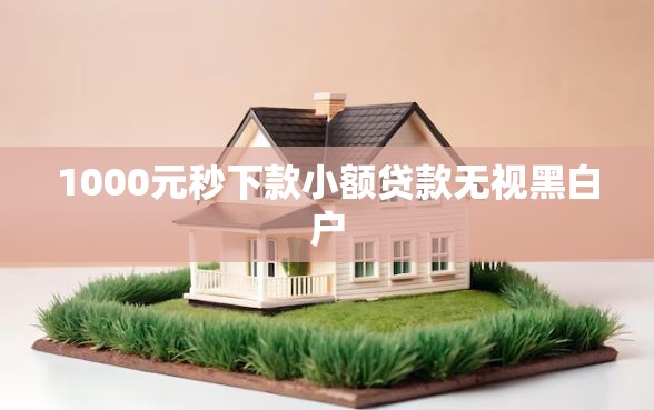 1000元秒下款小额贷款无视黑白户