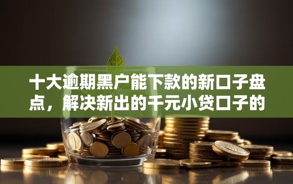 十大逾期黑户能下款的新口子盘点，解决新出的千元小贷口子的问题