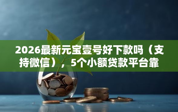 2026最新元宝壹号好下款吗（支持微信），5个小额贷款平台靠谱无私分享