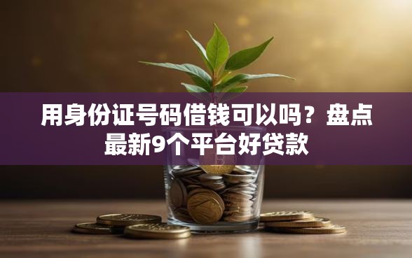 用身份证号码借钱可以吗？盘点最新9个平台好贷款