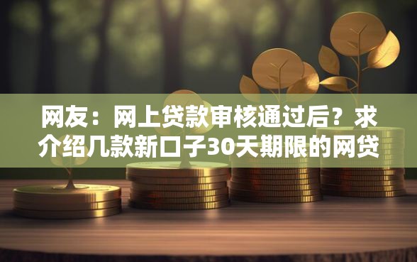 网友：网上贷款审核通过后？求介绍几款新口子30天期限的网贷