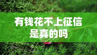 有钱花不上征信是真的吗