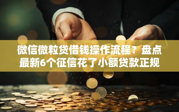 微信微粒贷借钱操作流程？盘点最新6个征信花了小额贷款正规平台