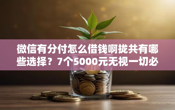 微信有分付怎么借钱啊拢共有哪些选择？7个5000元无视一切必下款的口子详解