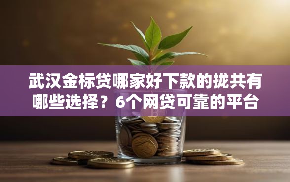 武汉金标贷哪家好下款的拢共有哪些选择？6个网贷可靠的平台详解