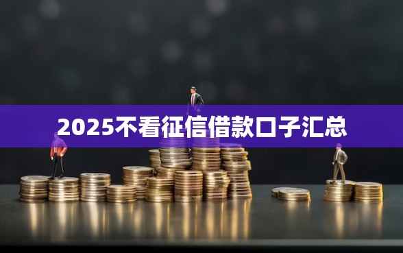 2025不看征信借款口子汇总