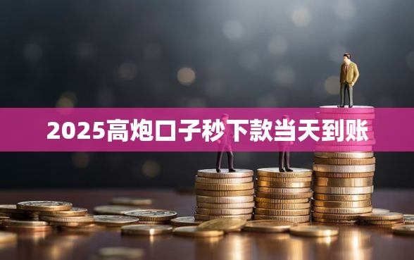 2025高炮口子秒下款当天到账