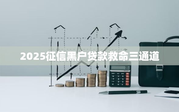 2025征信黑户贷款救命三通道