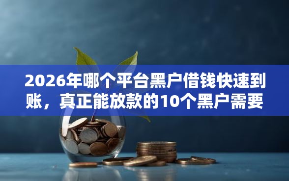 2026年哪个平台黑户借钱快速到账，真正能放款的10个黑户需要2万可以在借款平台借款推荐