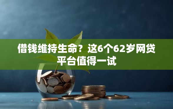 借钱维持生命？这6个62岁网贷平台值得一试
