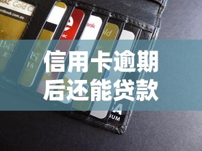 信用卡逾期后还能贷款买车吗