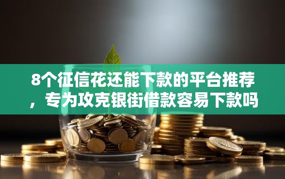 8个征信花还能下款的平台推荐，专为攻克银街借款容易下款吗难题