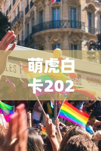 萌虎白卡2025下款最新动态解析