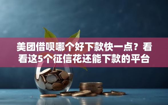 美团借呗哪个好下款快一点？看看这5个征信花还能下款的平台怎么样