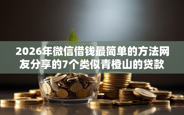 2026年微信借钱最简单的方法网友分享的7个类似青橙山的贷款平台我觉得不错！