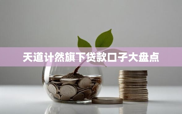 天道计然旗下贷款口子大盘点
