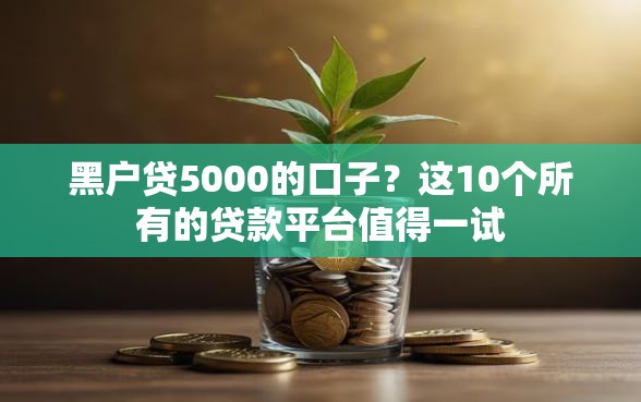黑户贷5000的口子？这10个所有的贷款平台值得一试