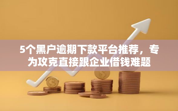 5个黑户逾期下款平台推荐，专为攻克直接跟企业借钱难题