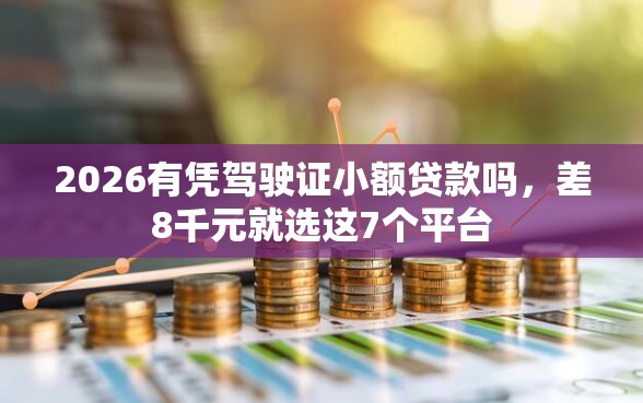 2026有凭驾驶证小额贷款吗，差8千元就选这7个平台