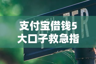支付宝借钱5大口子救急指南