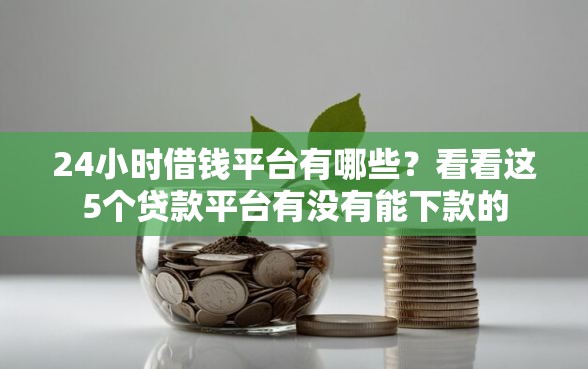 24小时借钱平台有哪些？看看这5个贷款平台有没有能下款的