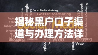 揭秘黑户口子渠道与办理方法详解