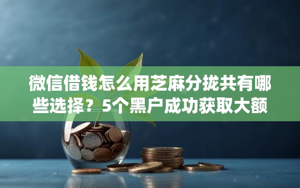 微信借钱怎么用芝麻分拢共有哪些选择？5个黑户成功获取大额贷款的app详解