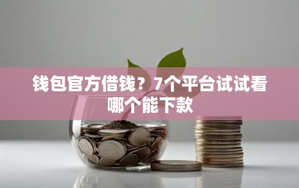 钱包官方借钱？7个平台试试看哪个能下款