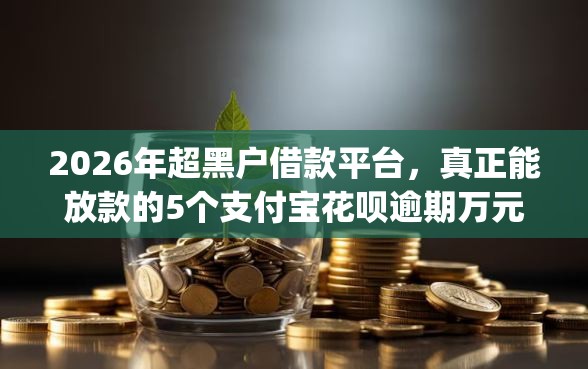 2026年超黑户借款平台，真正能放款的5个支付宝花呗逾期万元快速贷款app推荐